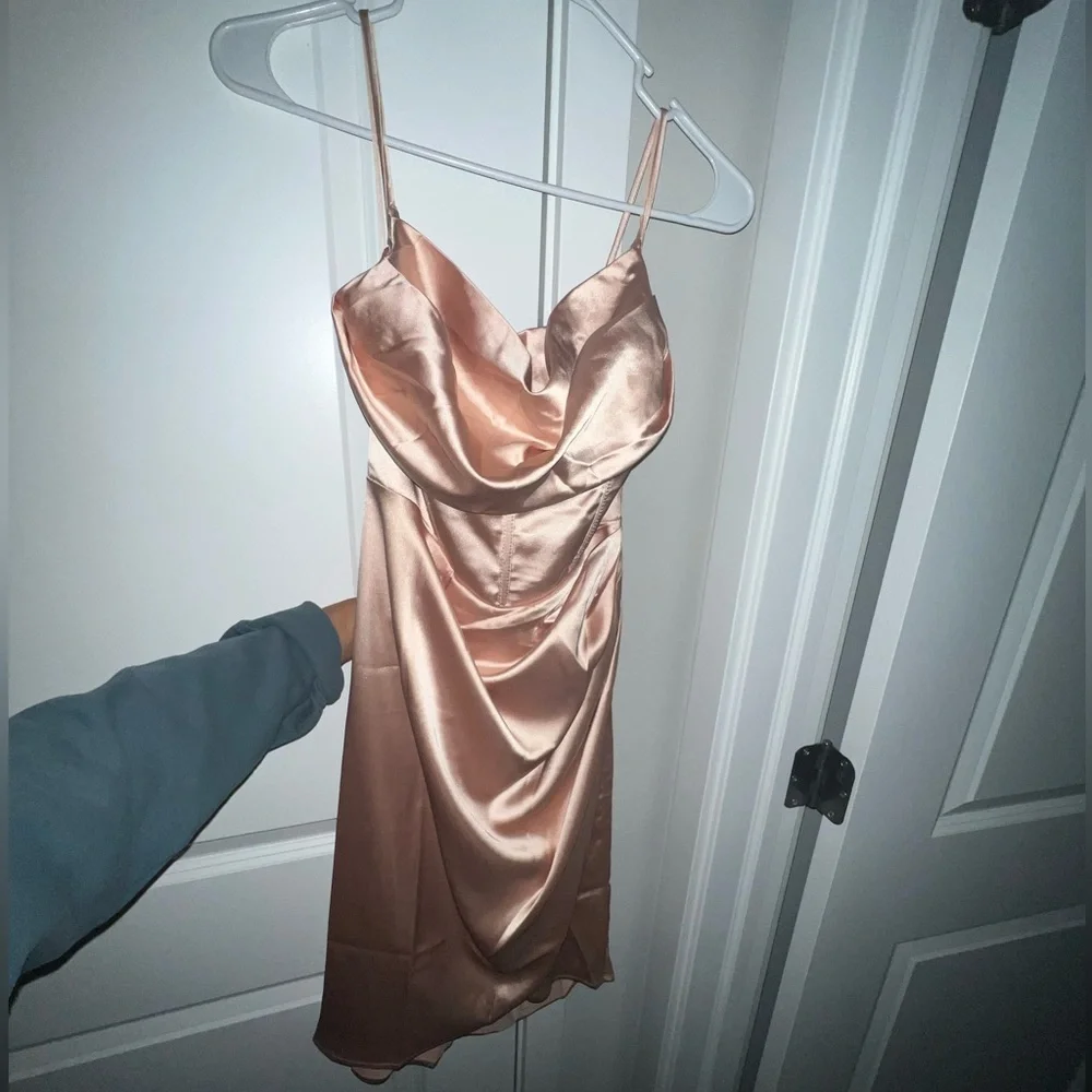Never worn silk nude dress - Picture 1 of 7